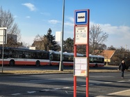 Motorola ThinkPhone25