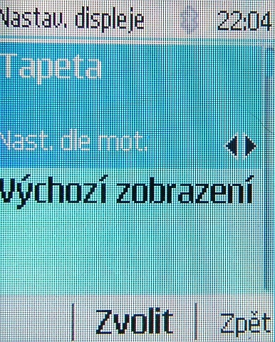 Nokia 113