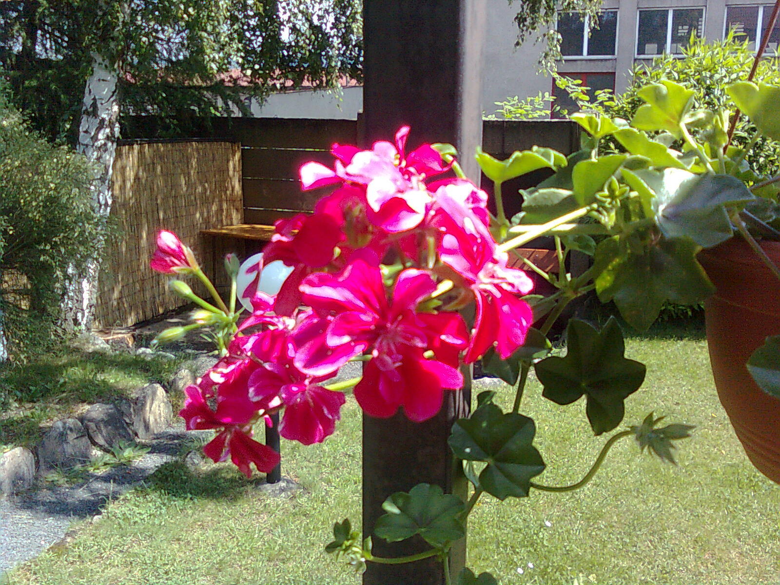 Nokia 5130 Xpress Music