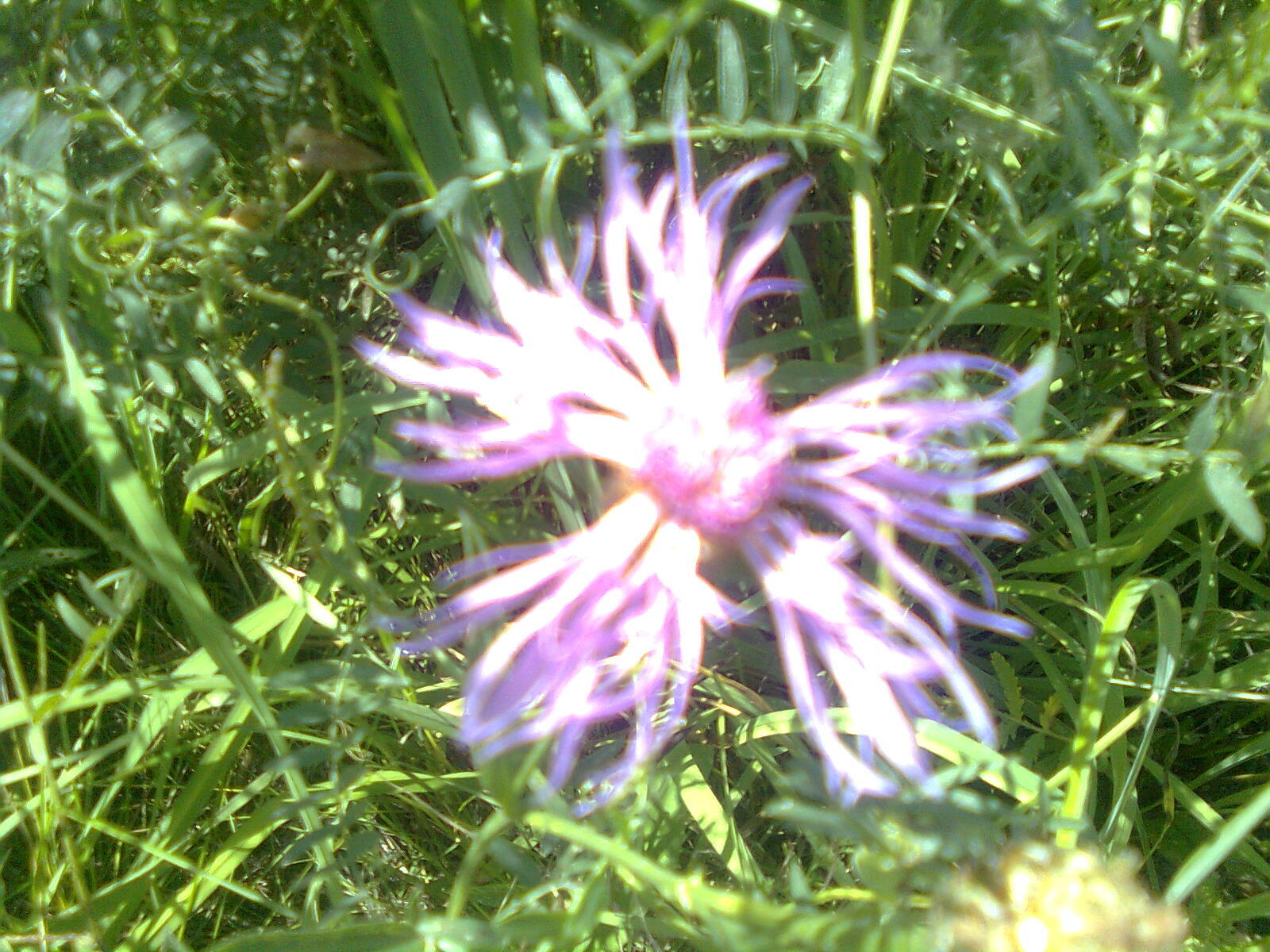 Nokia 5220 XpressMusic