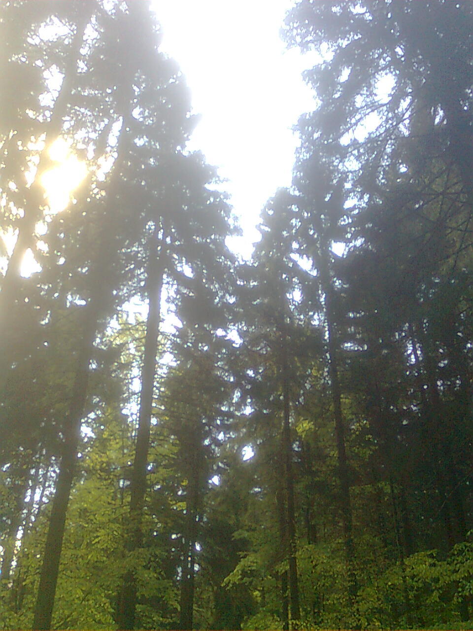 Nokia 5310 XpressMusic