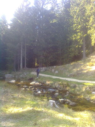 Nokia 5310 XpressMusic