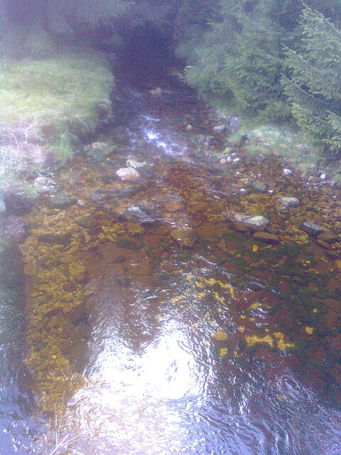 Nokia 5310 XpressMusic