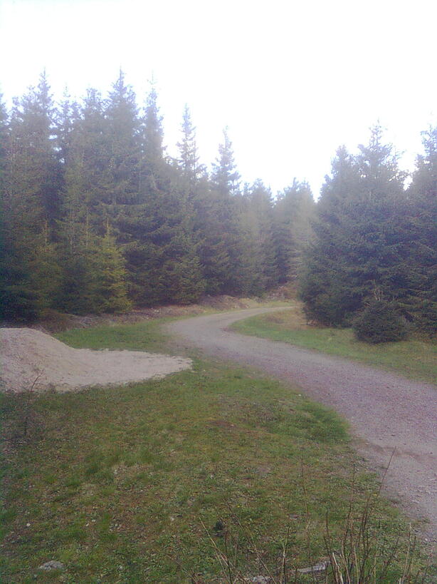 Nokia 5310 XpressMusic