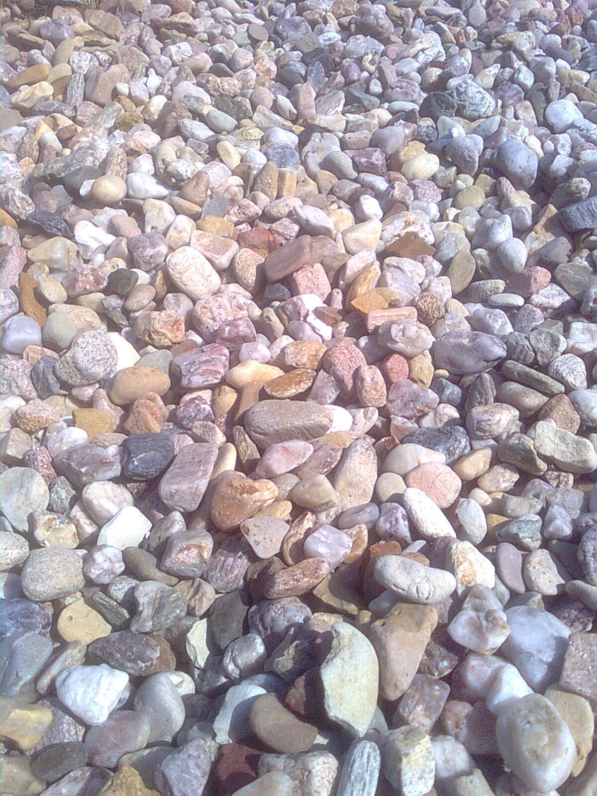 Nokia 5310 XpressMusic