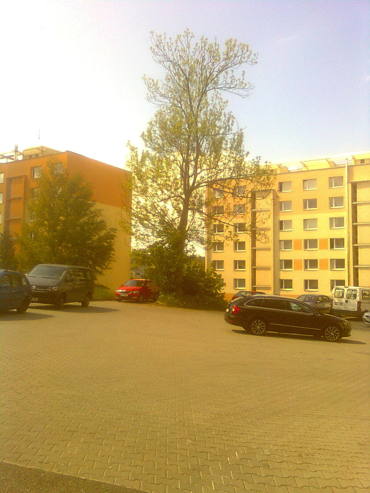 Nokia 5310 XpressMusic