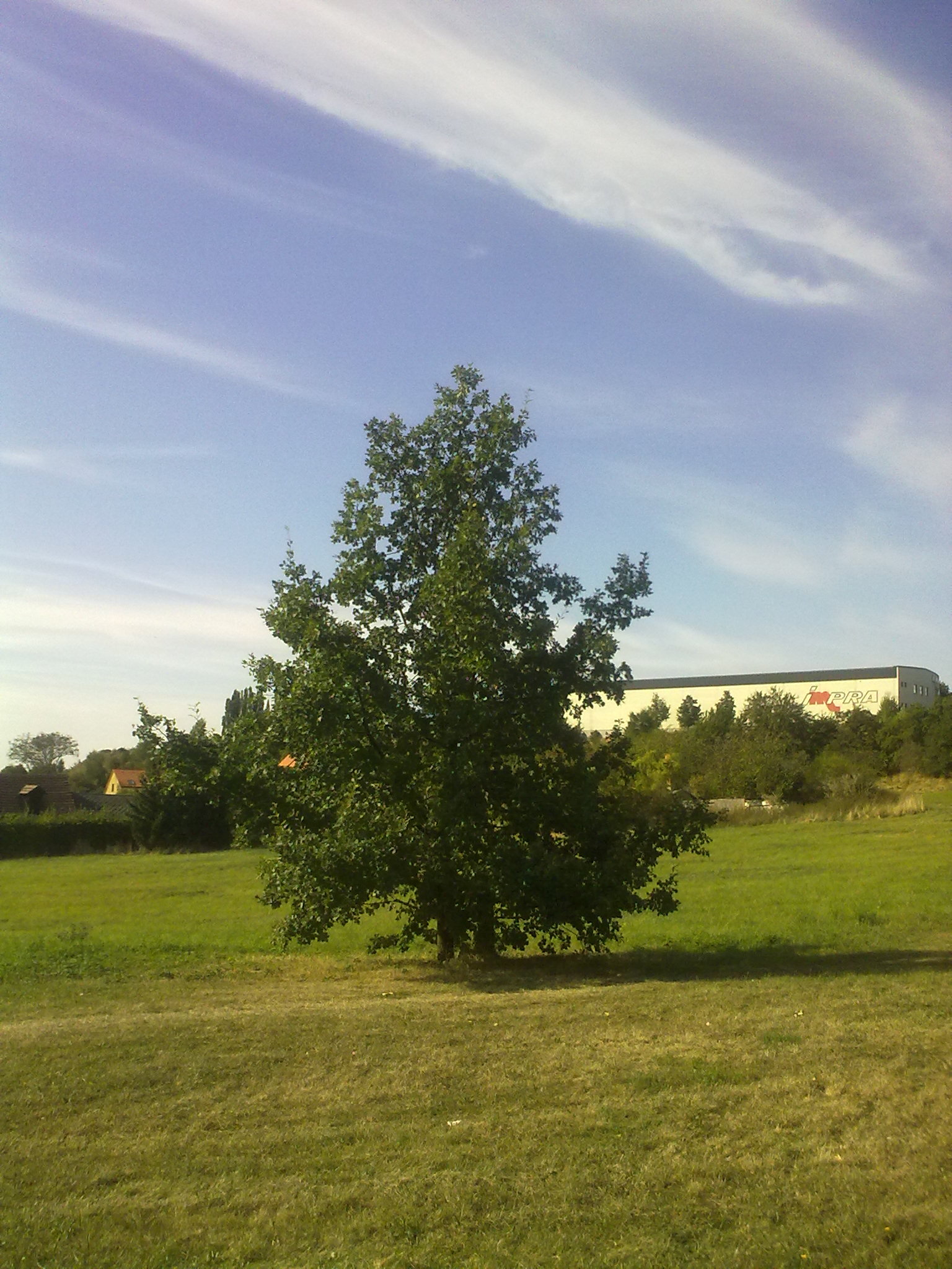 Nokia 5530 XpressMusic