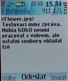 Nokia 6060
