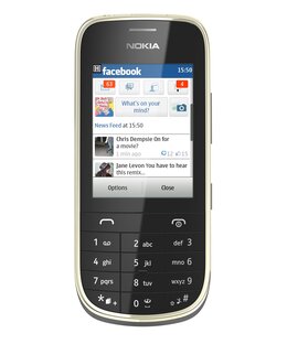 Nokia Asha 202