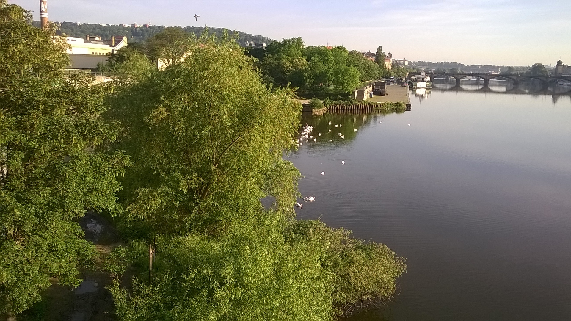 Nokia Lumia 630 Dual SIM