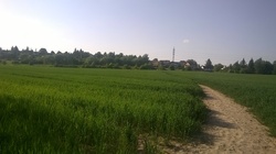 Nokia Lumia 630 Dual SIM