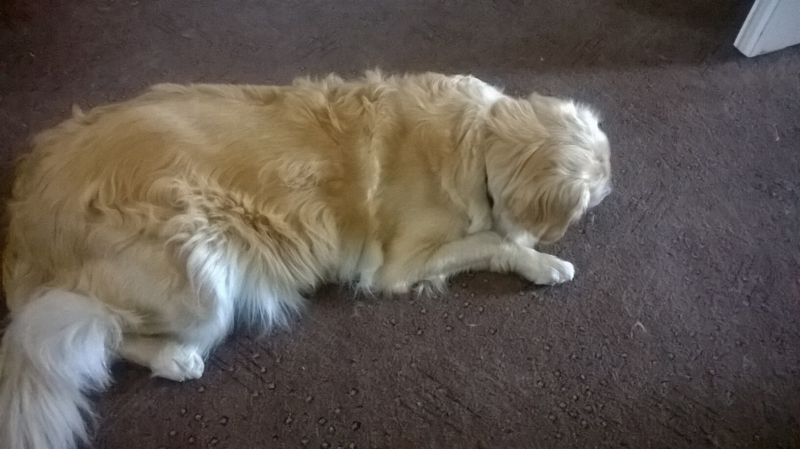 Nokia Lumia 630 Dual SIM