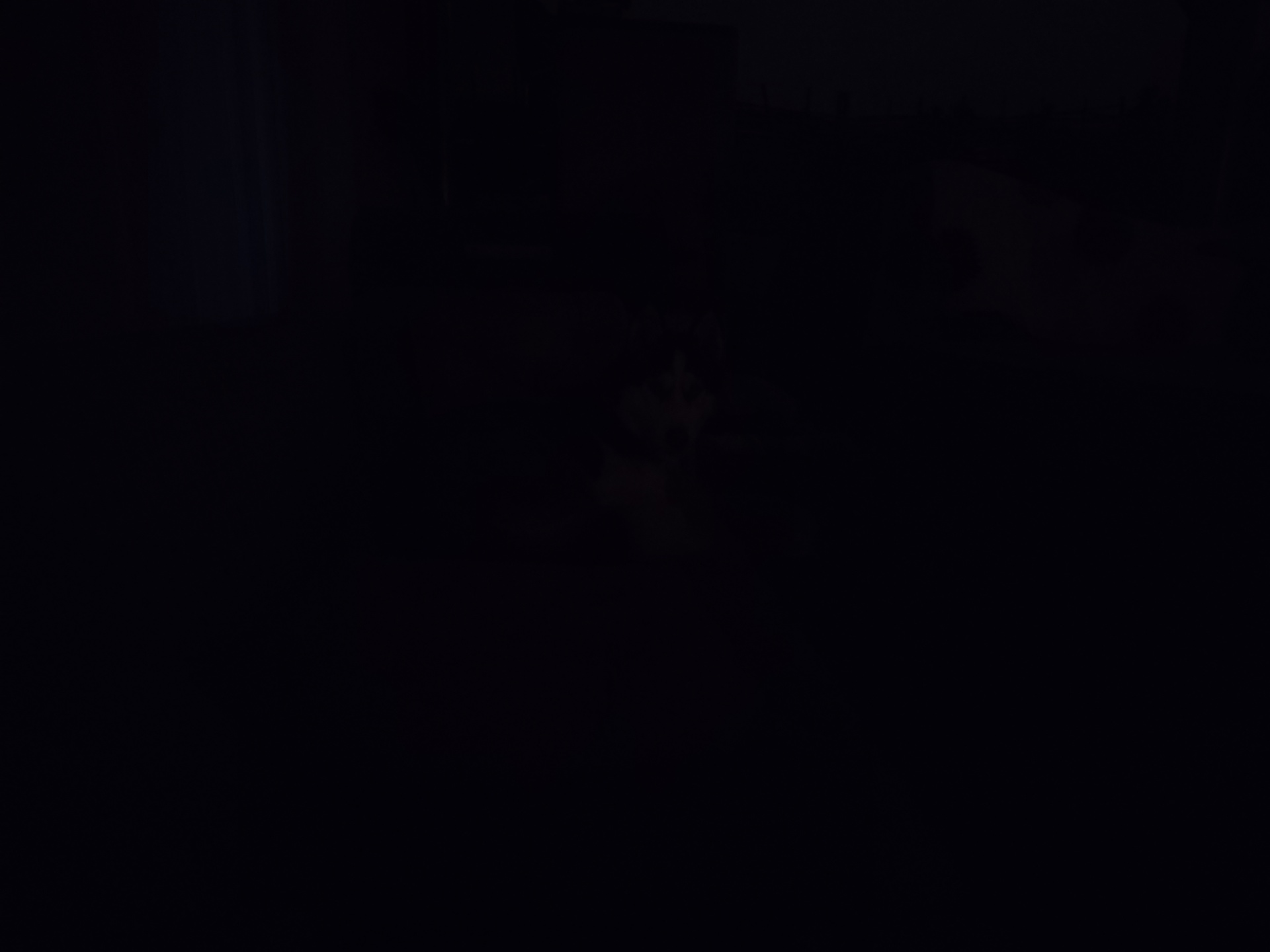 Nothing Phone (1)
