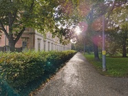 Nothing Phone (2a) Plus