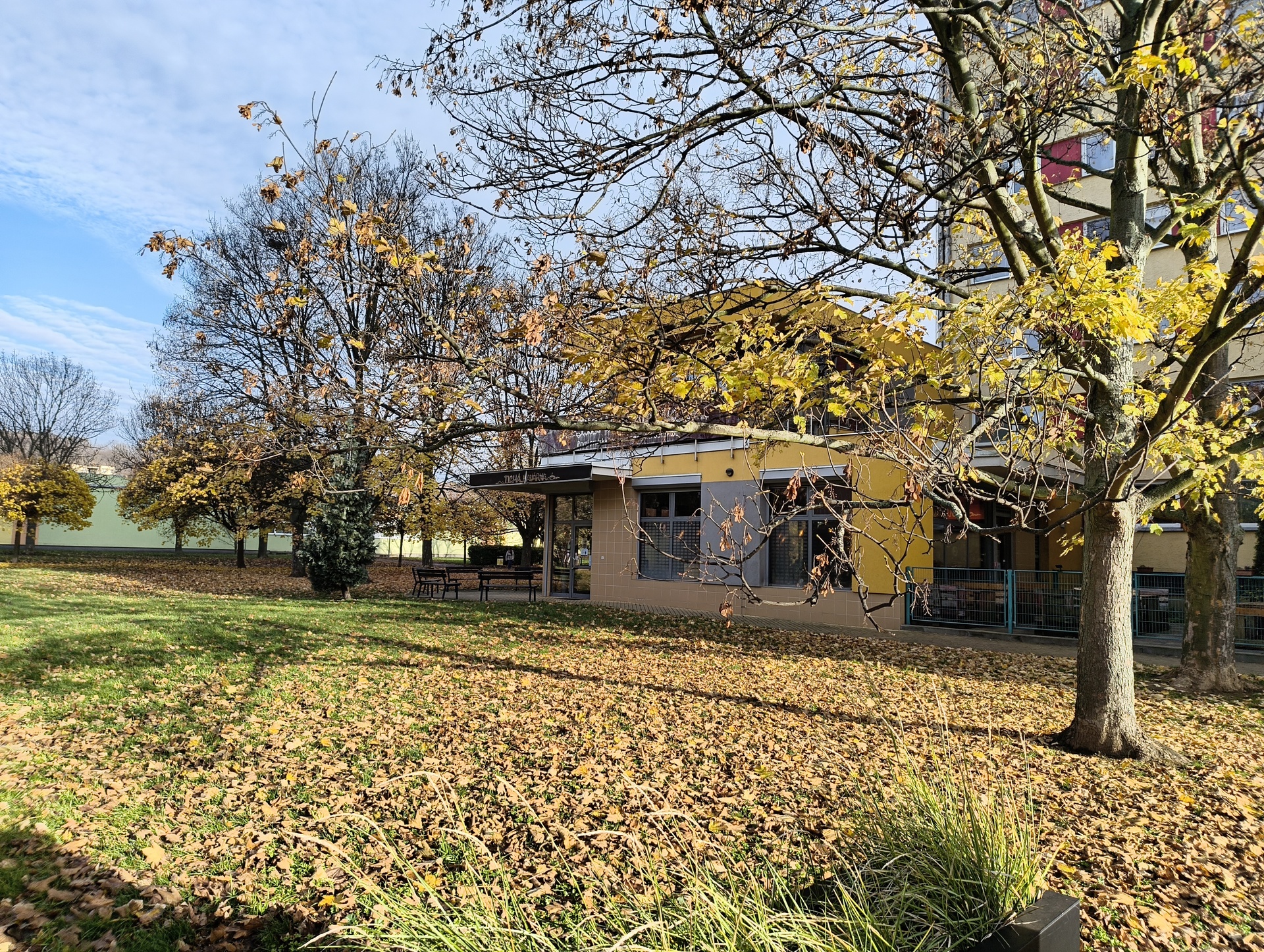 Nothing Phone (3a) Lite