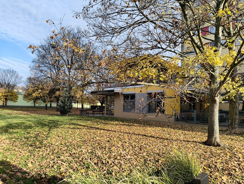 Nothing Phone (3a) Lite