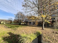 Nothing Phone (3a) Lite