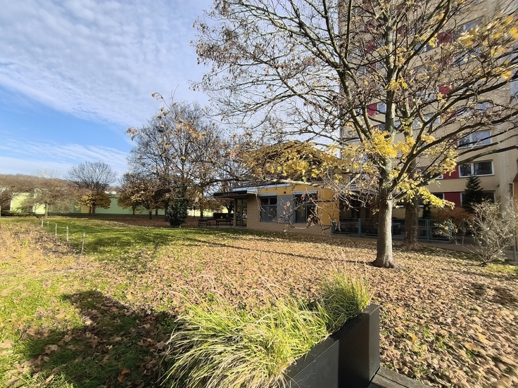 Nothing Phone (3a) Lite