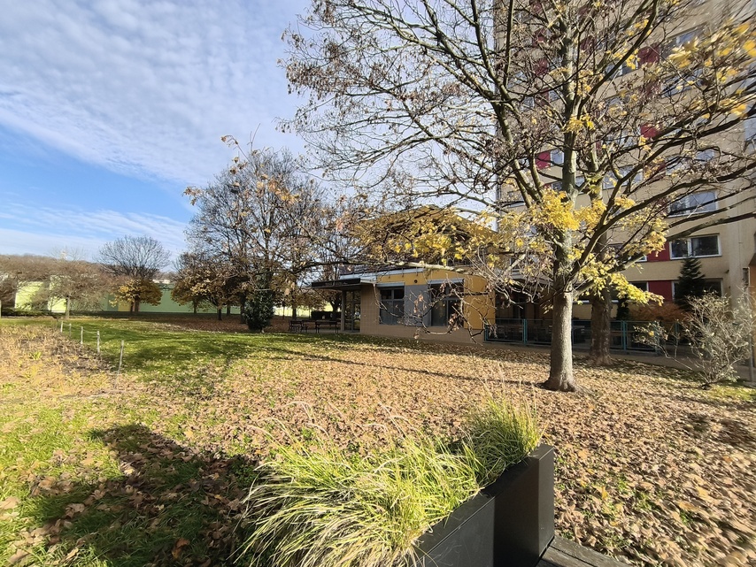 Nothing Phone (3a) Lite