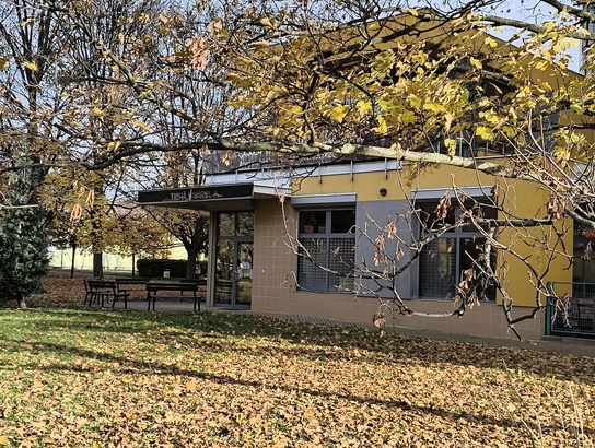 Nothing Phone (3a) Lite