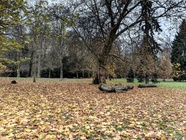 Nothing Phone (3a) Lite