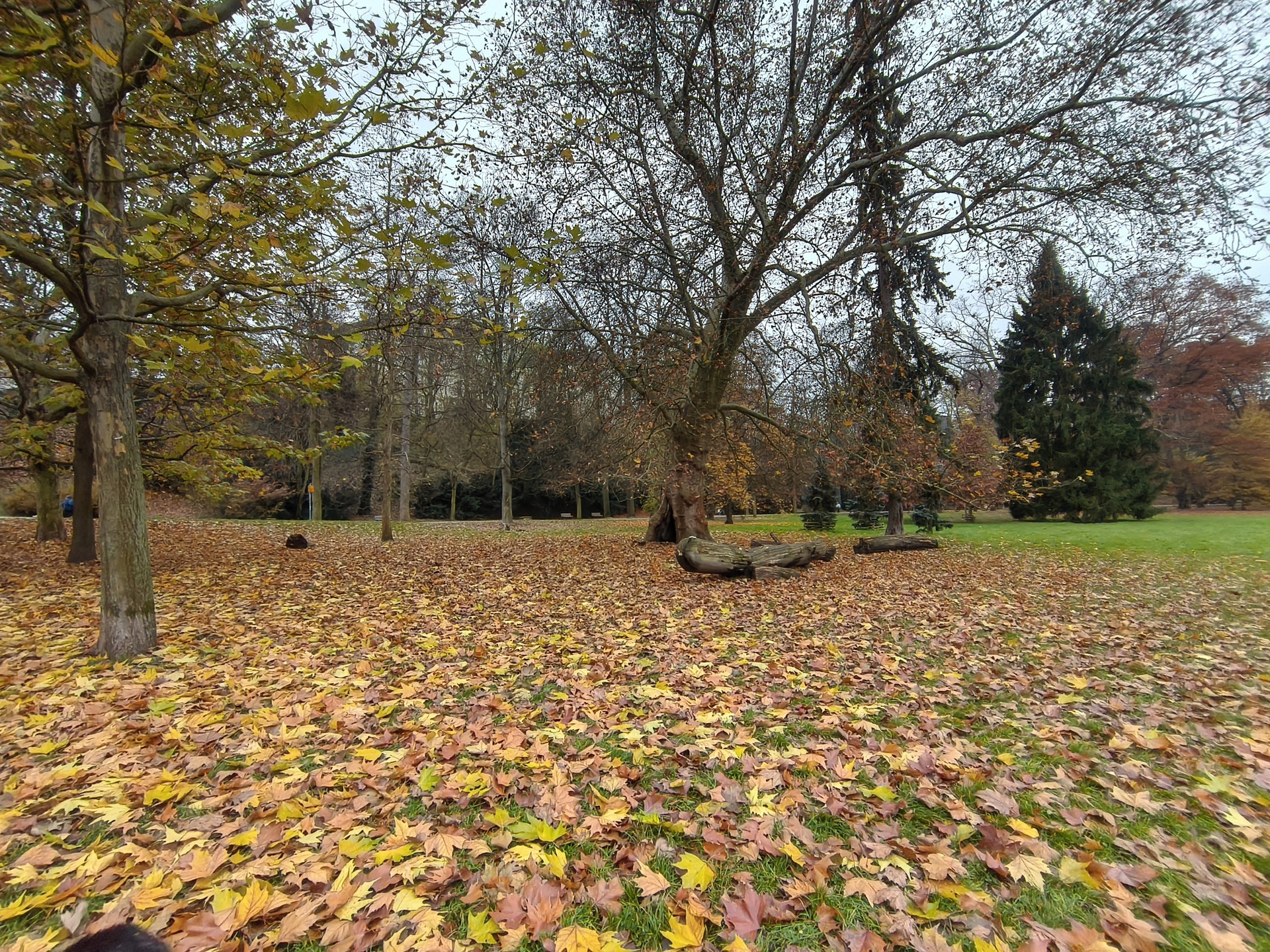 Nothing Phone (3a) Lite