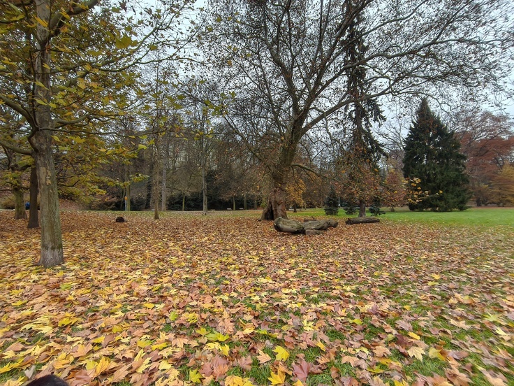 Nothing Phone (3a) Lite