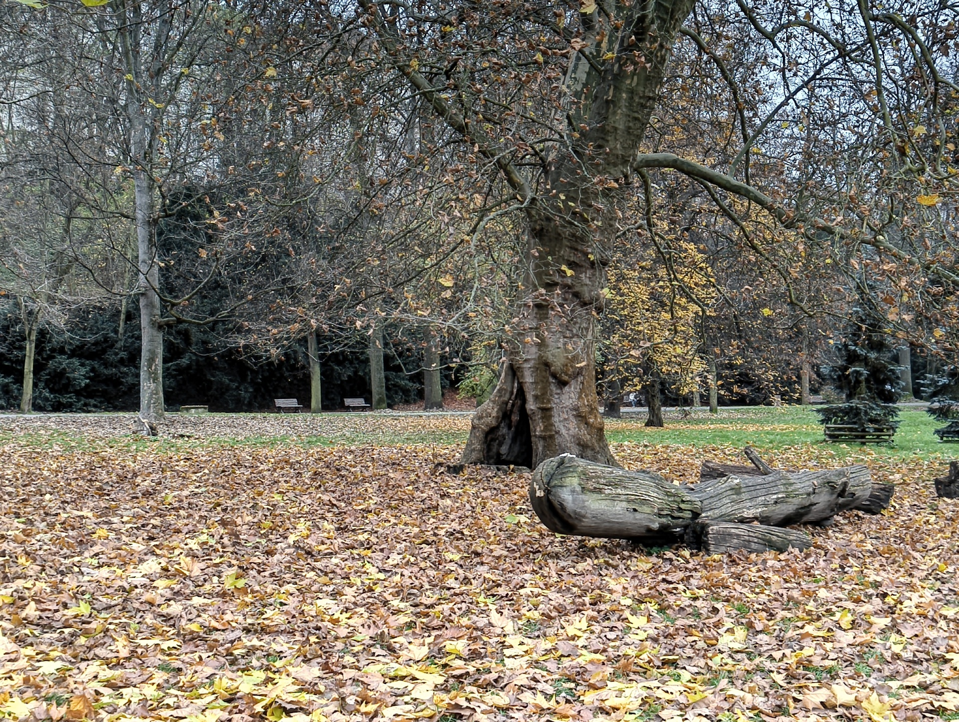 Nothing Phone (3a) Lite