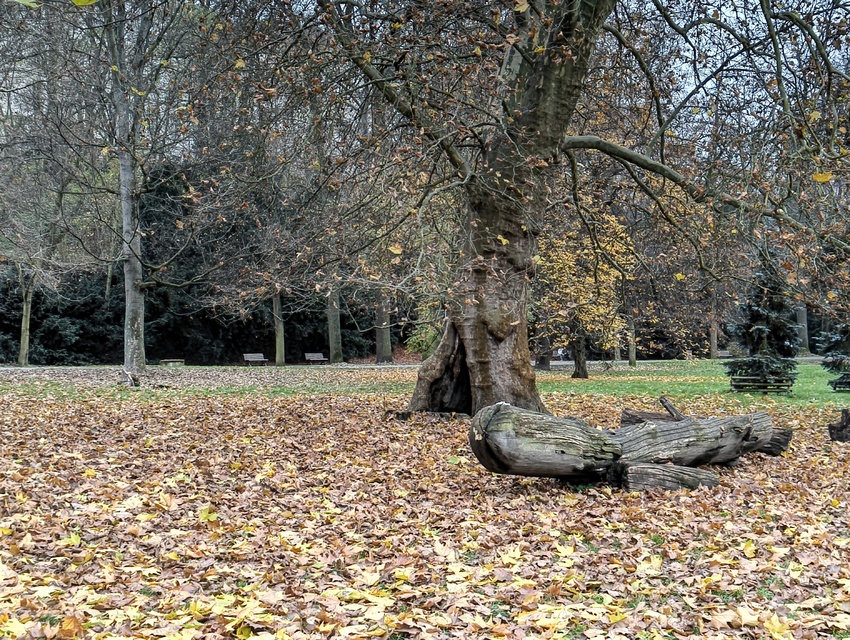 Nothing Phone (3a) Lite