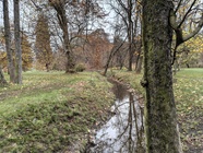 Nothing Phone (3a) Lite