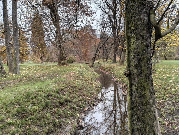 Nothing Phone (3a) Lite