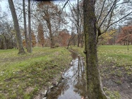 Nothing Phone (3a) Lite