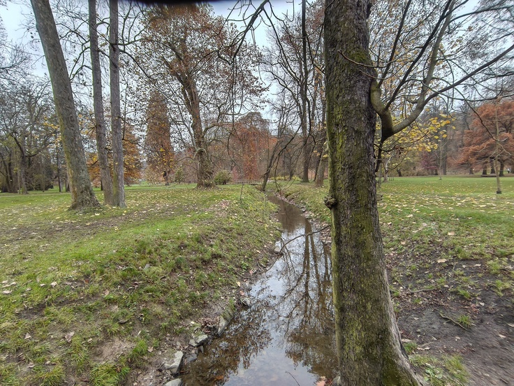 Nothing Phone (3a) Lite