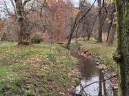 Nothing Phone (3a) Lite