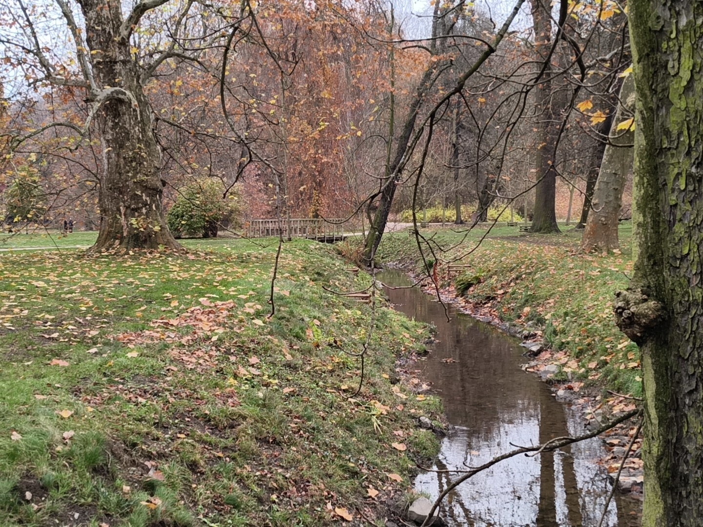 Nothing Phone (3a) Lite