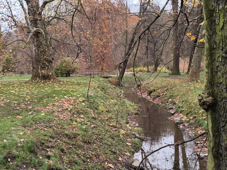 Nothing Phone (3a) Lite