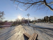 Nothing Phone (3a) Lite