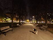 Nothing Phone (3a) Lite