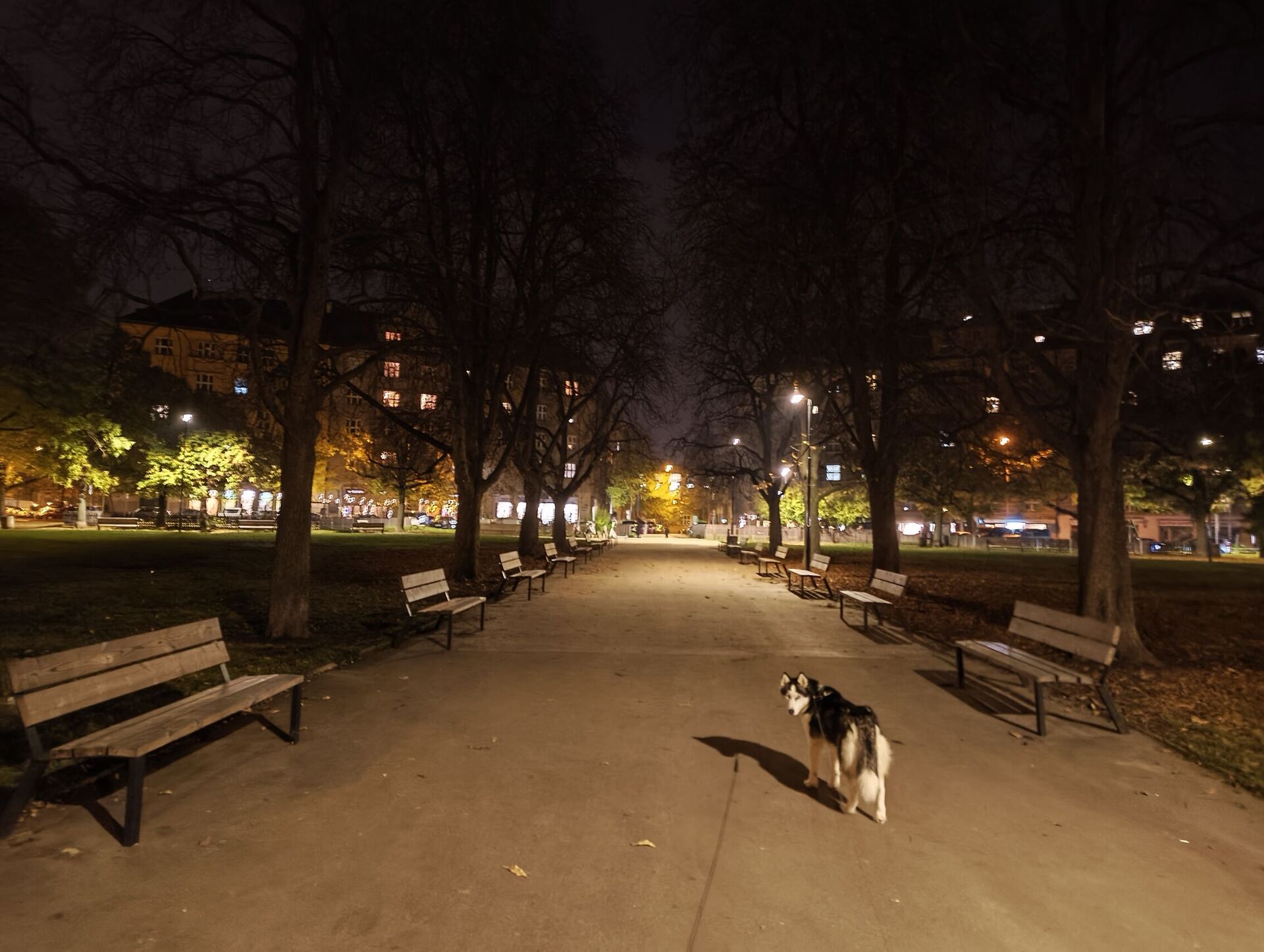 Nothing Phone (3a) Lite