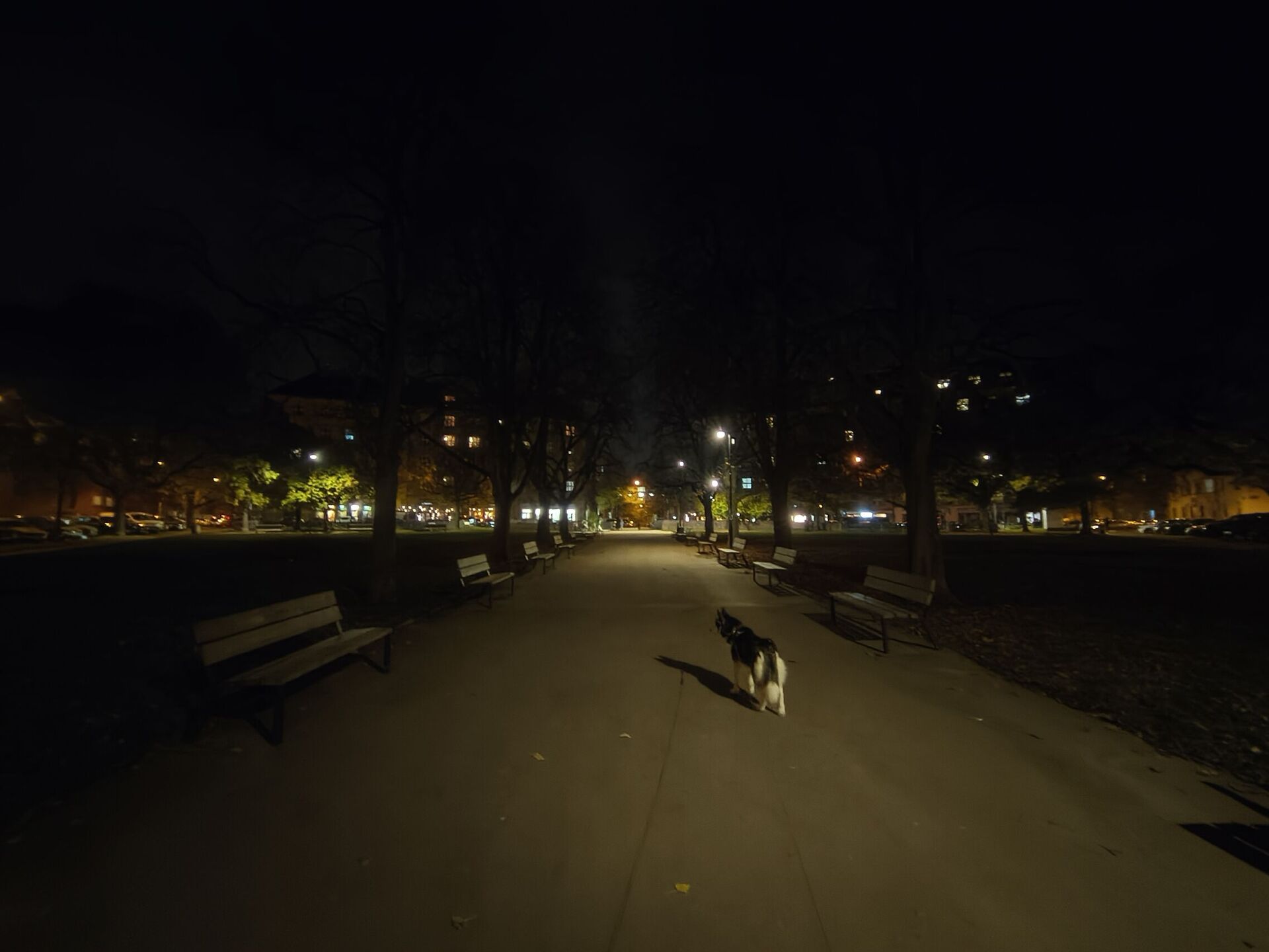 Nothing Phone (3a) Lite