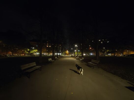 Nothing Phone (3a) Lite