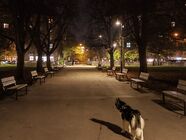 Nothing Phone (3a) Lite