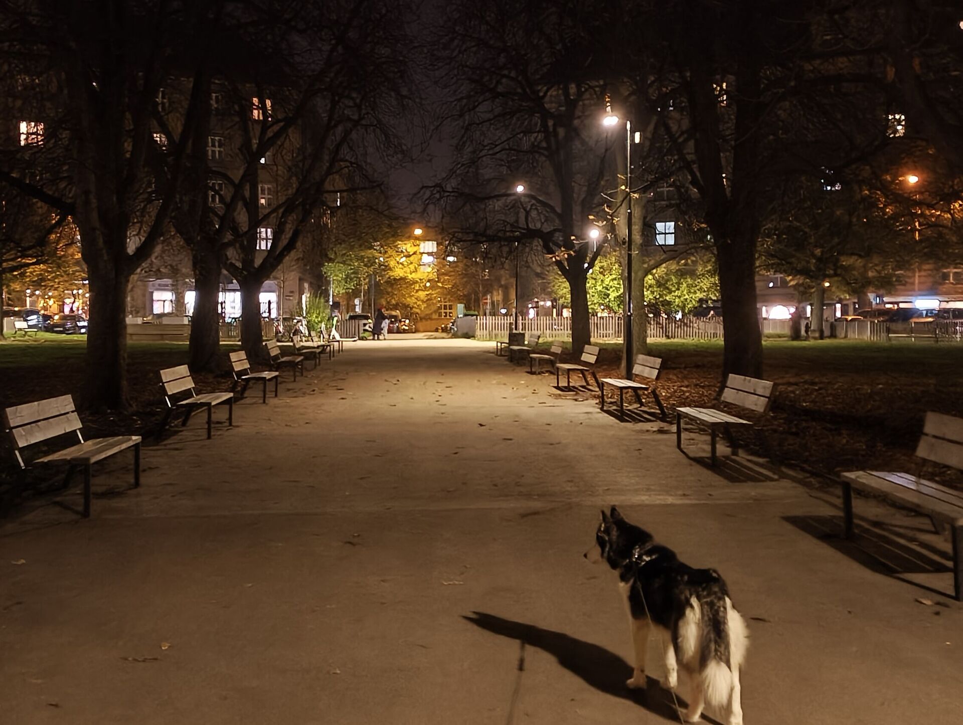 Nothing Phone (3a) Lite