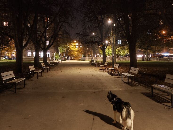 Nothing Phone (3a) Lite