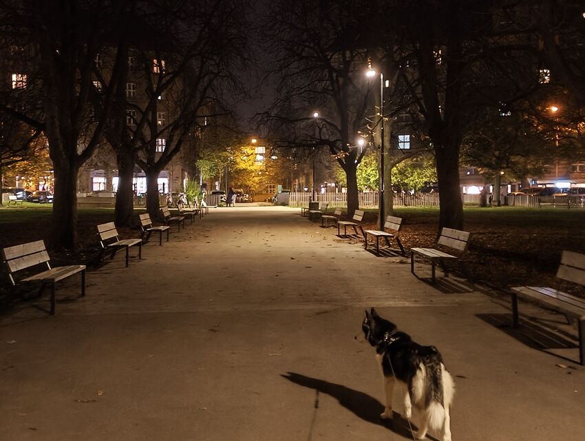 Nothing Phone (3a) Lite