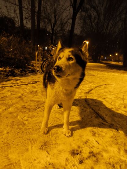 Nothing Phone (3a) Lite