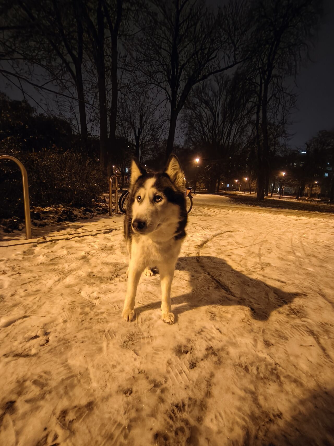 Nothing Phone (3a) Lite