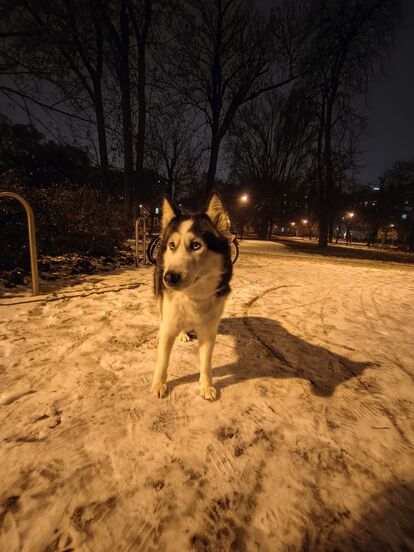 Nothing Phone (3a) Lite