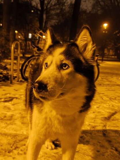 Nothing Phone (3a) Lite