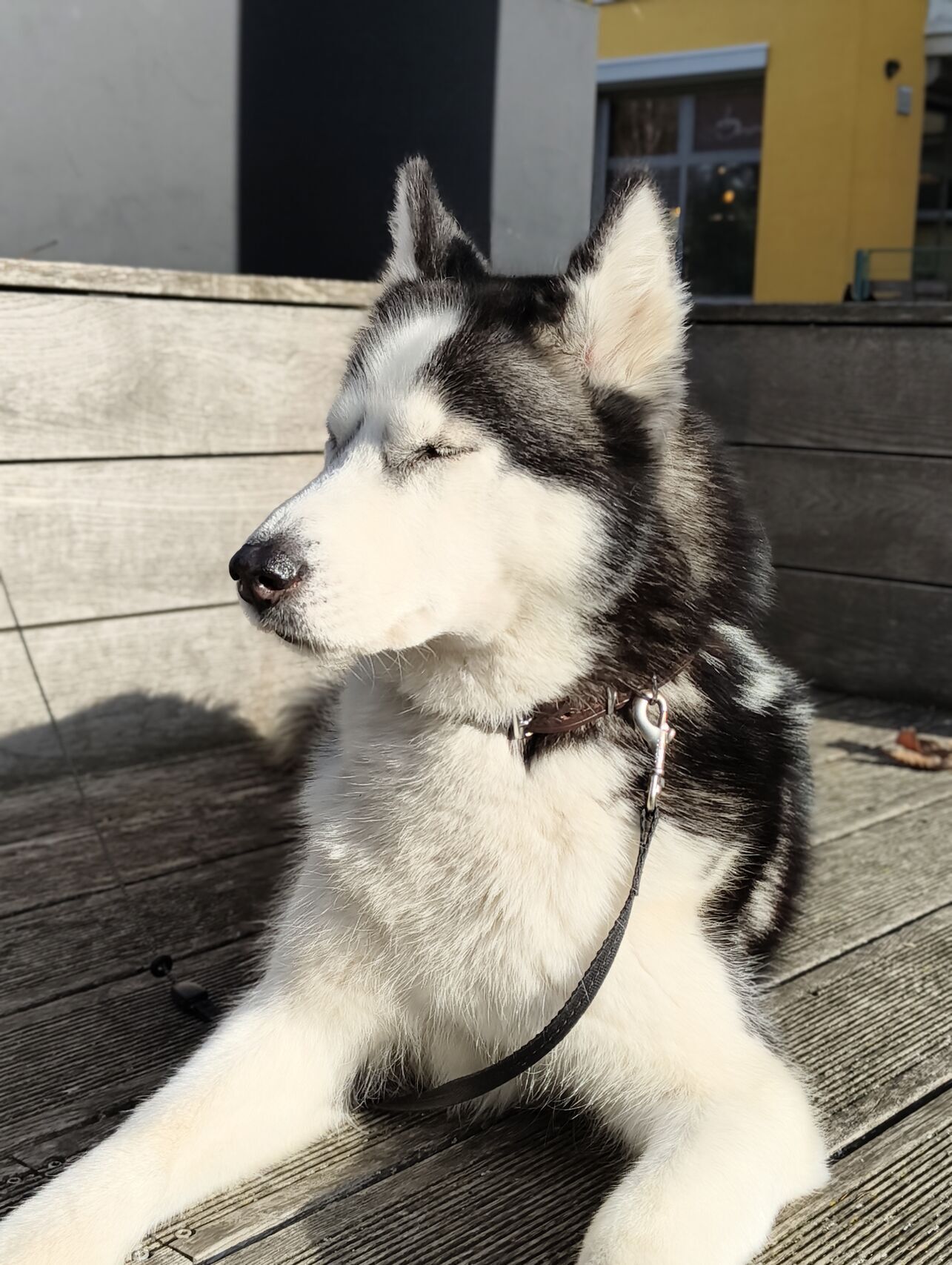 Nothing Phone (3a) Lite